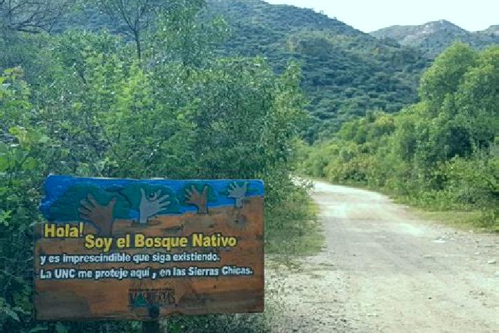 Layla, 37 — Escort in Valle de Vaquerias, Mexico