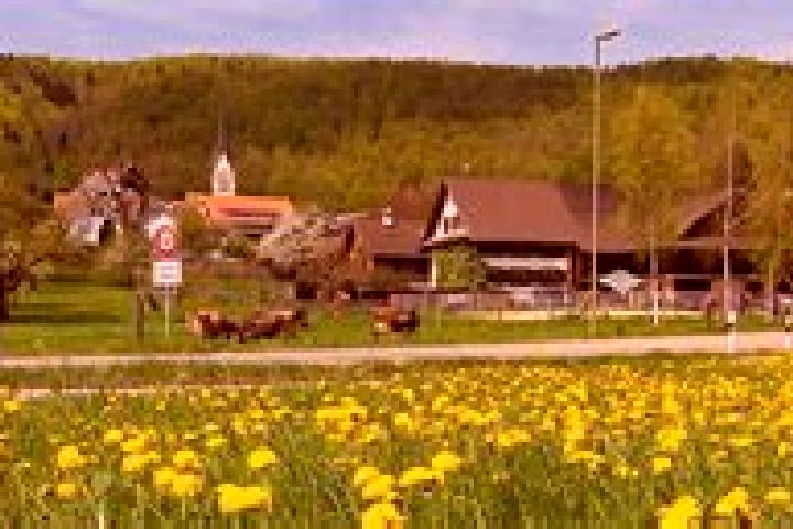 Layla, 39 — Escort in Hausen am Albis / Hausen (Dorf), Switzerland