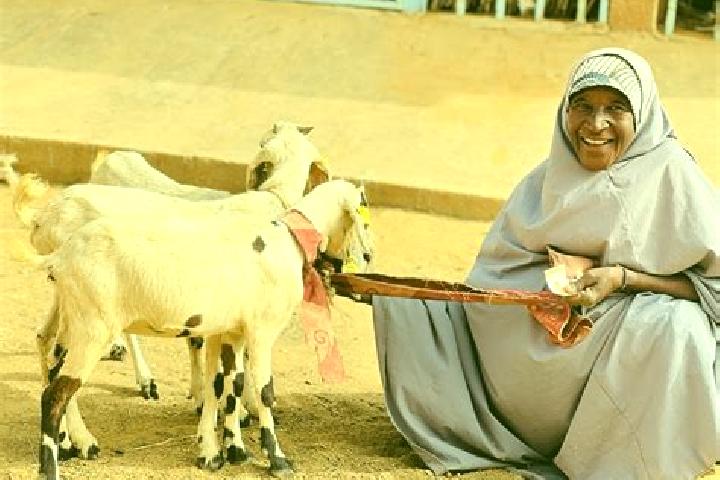 Lillian, 21 — Escort in Bagaroua, Niger