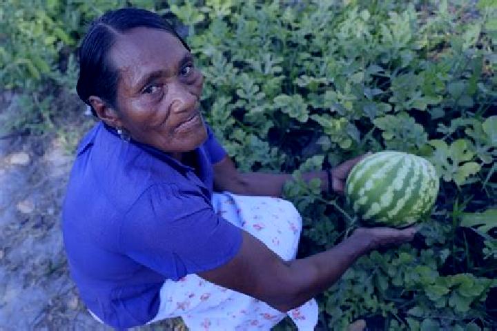 Lillian, 22 — Escort in Palkaka, Honduras