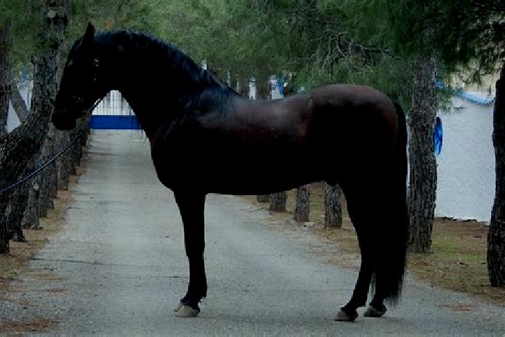 Lillian, 23 — Escort in Caballar, Spain