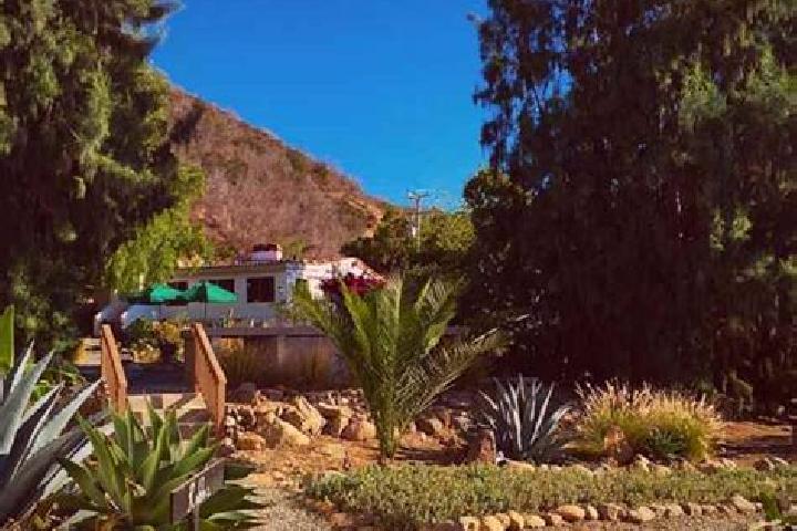 Lillian, 23 — Escort in El Sauzal de Rodriguez, Mexico