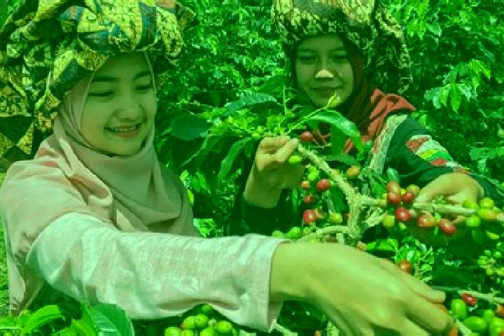 Lillian, 23 — Escort in Onan Ganjang Satu, Indonesia