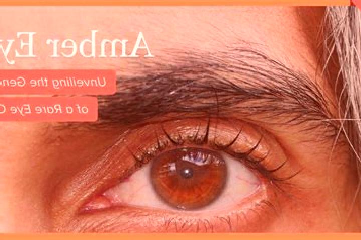 Lillian, 25, a red amber-eyed indian companion based in Novo Mundo. Offering Duos, BDSM, Tantra, Prostate Massage, Couples. Available for incall and outcall,...