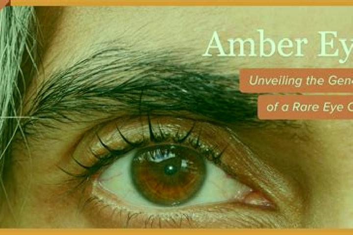 Lillian, 26, a red amber-eyed european companion based in Naerbo. Offering A-Level, Girlfriend Experience. Available for incall and outcall, overnight bookin...
