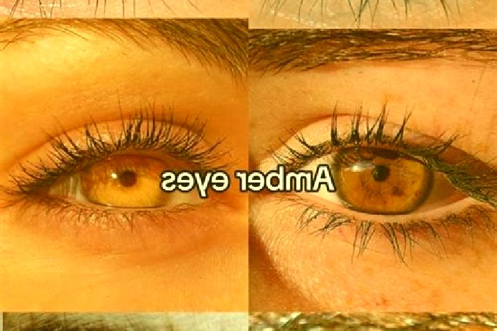 Lillian, 27, a chestnut amber-eyed european companion based in Ensival. Offering Travel Companion, Erotic Massage, Girlfriend Experience. Available for incal...