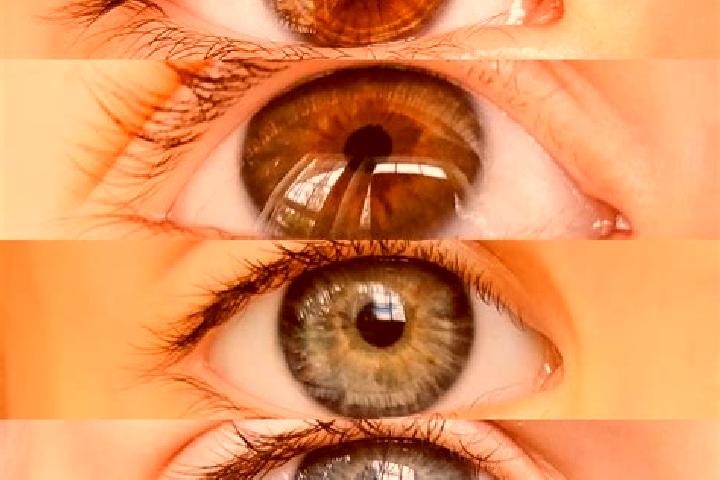 Lillian, 30, a chestnut hazel-eyed slavic companion based in Cheresh. Offering OWO, Duos, Overnight, Tantra, Roleplay. Available for incall and outcall, over...