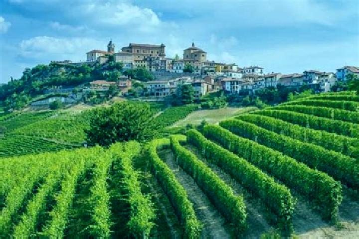 Lillian, 30 — Escort in Sale delle Langhe, Italy