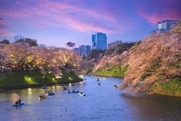 Lillian, 31 — Escort in Komagome, Japan