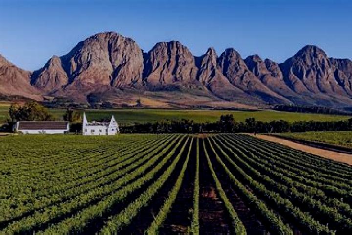 Lillian, 32 — Escort in Paarl, South Africa
