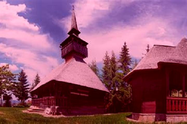 Lillian, 35 — Escort in Fildu de Jos, Romania