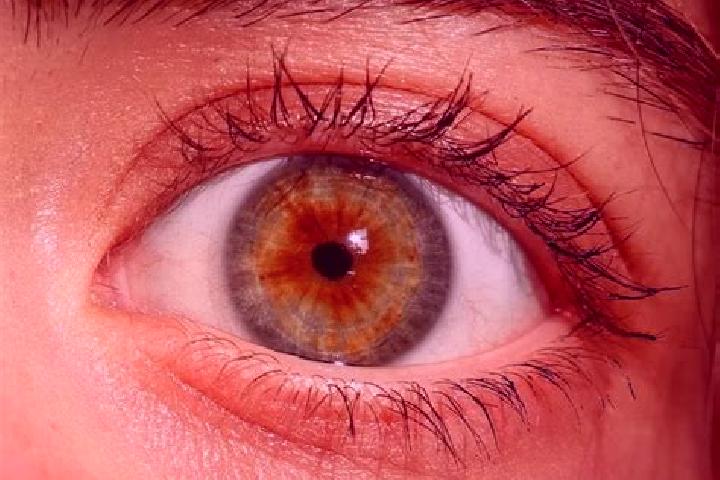 Lillian, 36, a red hazel-eyed caucasian companion based in Podbrezje. Offering Overnight, BDSM, Tantra, A-Level. Available for incall and outcall, overnight ...