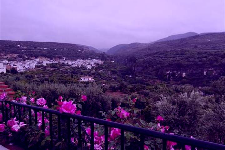 Lillian, 36 — Escort in Albunuelas, Spain