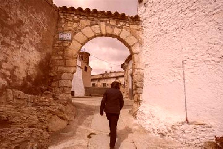 Lillian, 37 — Escort in Pozuel del Campo, Spain