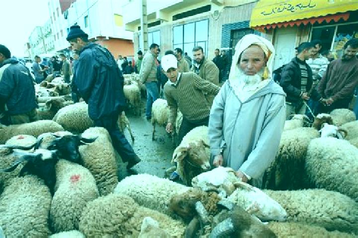 Lillian, 39 — Escort in Al Aaroui, Morocco