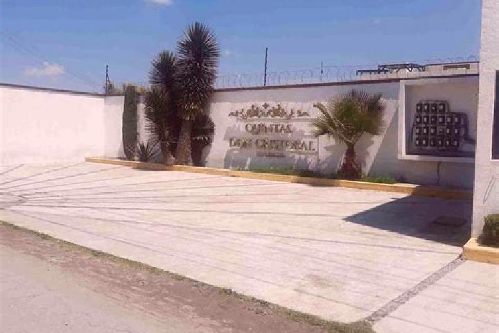 Lily, 20 — Escort in Cacalomacan, Mexico