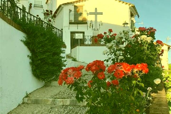 Lily, 20 — Escort in Canredondo, Spain