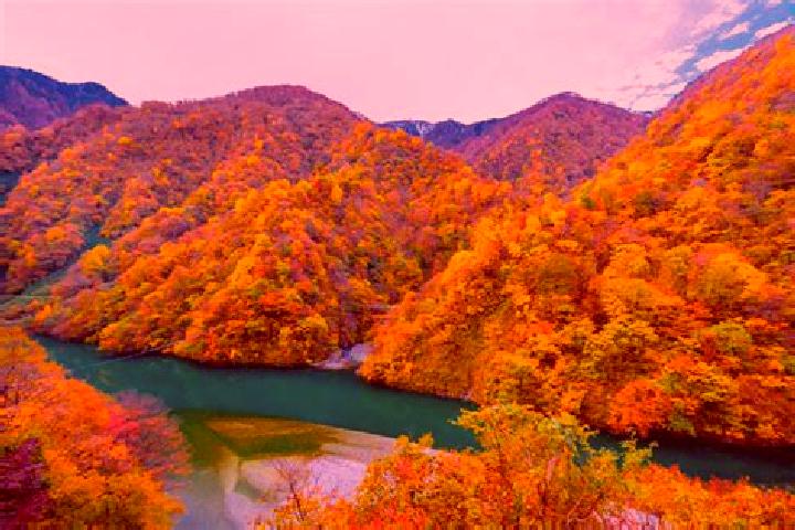 Lily, 20 — Escort in Kurobe-shi, Japan