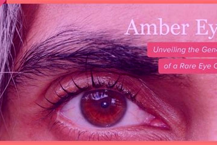 Lily, 21, a black amber-eyed indian companion based in La Quemada. Offering 69, Overnight, Tantra, CIM. Available for incall and outcall, overnight bookings ...