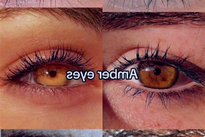 Lily, 22, a chestnut amber-eyed caucasian companion based in Aragatsavan. Offering GFE, Massage, Striptease, Duos. Available for incall and outcall, day and ...