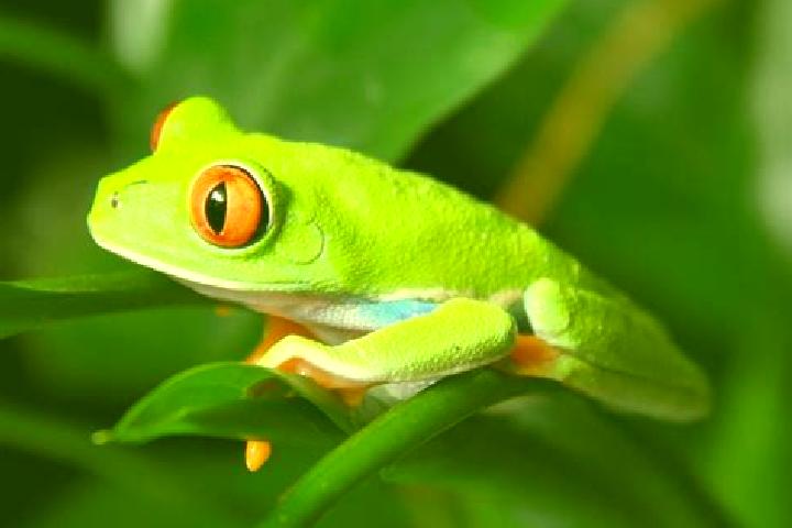 Lily, 23, a red green-eyed caribbean companion based in San Pablito. Offering OWO, Striptease, Tantra, Domination. Available for incall and outcall, overnigh...