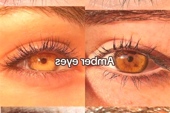 Lily, 25, a chestnut amber-eyed middle eastern companion based in Glenwood. Offering GFE, Couples. Available for incall and outcall, overnight bookings avail...