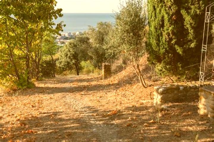 Lily, 25 — Escort in Montepagano, Italy
