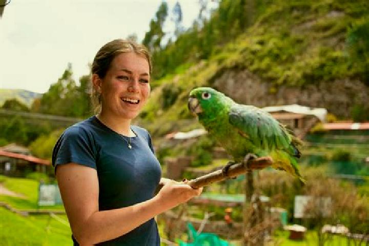 Lily, 25 — Escort in Pillcopata, Peru
