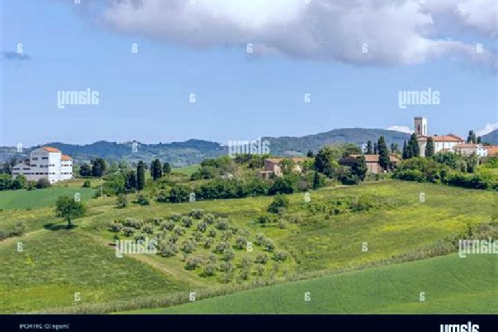 Lily, 31 — Escort in Orciano Pisano, Italy