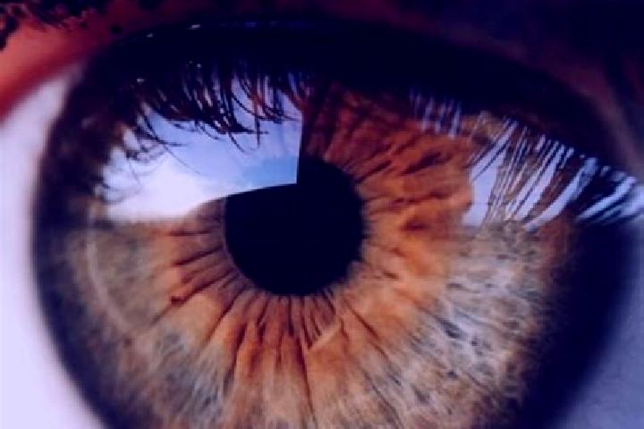 Lily, 32, a chestnut hazel-eyed middle eastern companion based in Thumersbach. Offering A-Level, Domination, BDSM. Available for incall and outcall, overnigh...