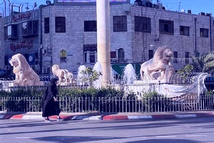 Lily, 35 — Escort in Jinsafut, Palestine
