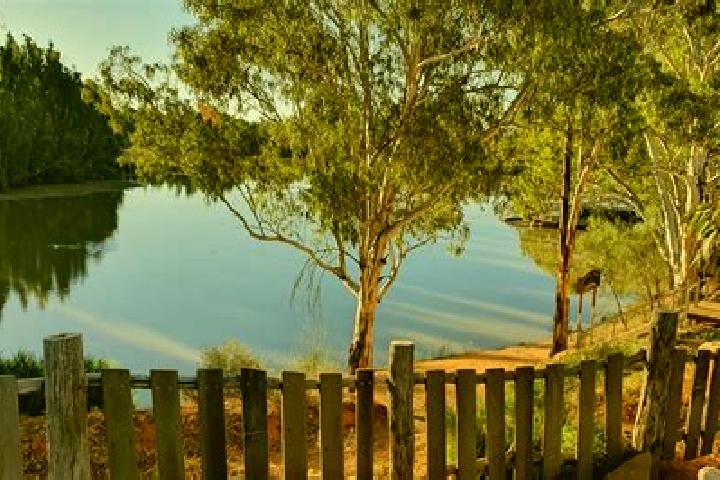 Lily, 37 — Escort in Glynde, Australia