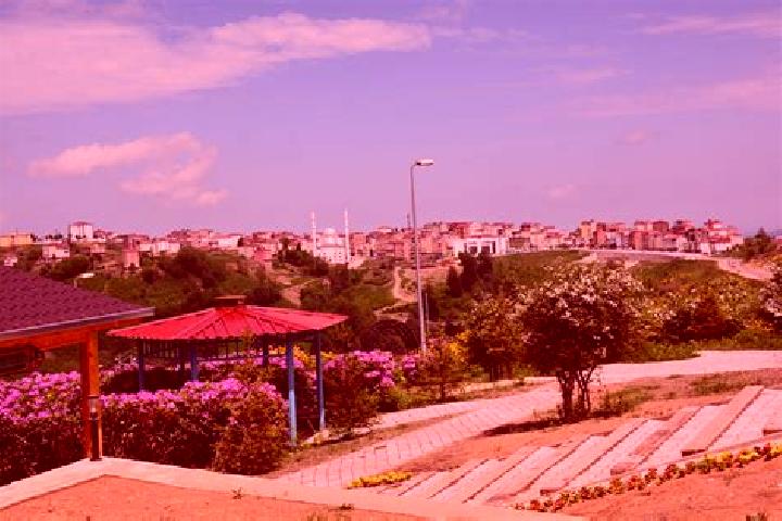 Lily, 37 — Escort in Guergentepe, Turkey