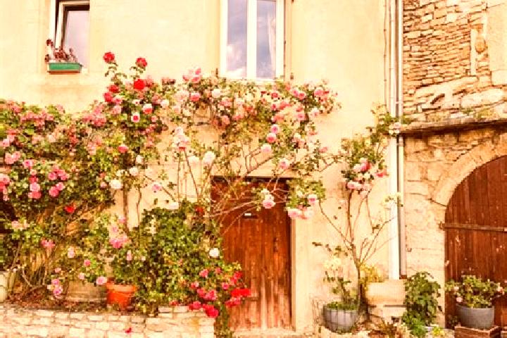 Lily, 38 — Escort in Grignan, France