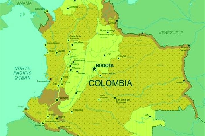 Lily, 39 — Escort in Macheta, Colombia