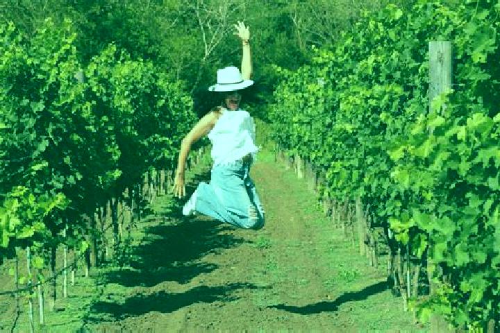 Lucy, 21 — Escort in Vinedos Rivier, Mexico