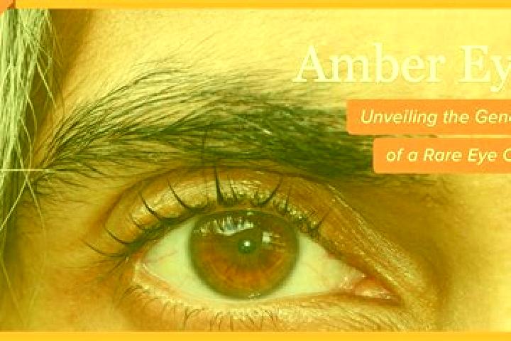 Lucy, 22, a red amber-eyed caribbean companion based in La Magdeleine. Offering Couples, Girlfriend Experience, Fetish, Domination, Massage. Available for in...