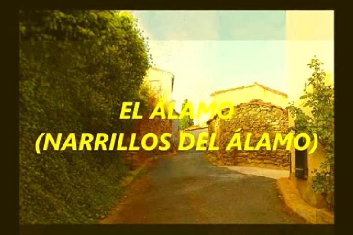 Lucy, 22 — Escort in Narrillos del Alamo, Spain