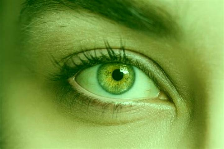 Lucy, 23, a chestnut hazel-eyed mixed companion based in Villarrica. Offering OWO, Overnight, Tantra, Couples, 69. Available for incall and outcall, overnigh...