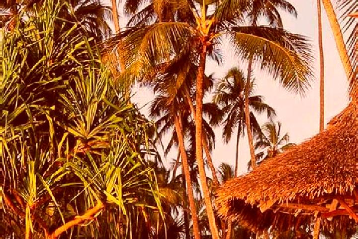 Lucy, 23 — Escort in Chimala, Tanzania
