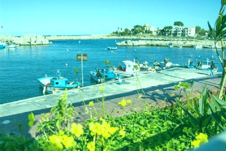 Lucy, 24 — Escort in Isola delle Femmine, Italy