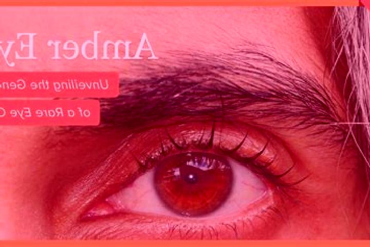 Lucy, 28, a red amber-eyed middle eastern companion based in Peting. Offering CIM, Girlfriend Experience, Tantra, 69. Available for incall and outcall, day a...