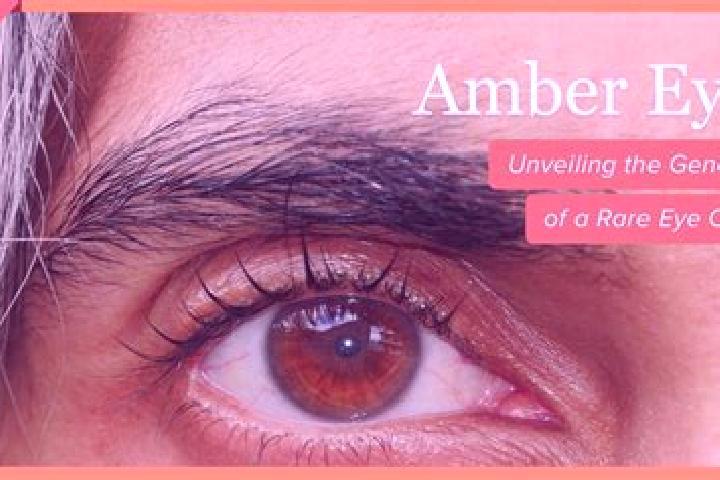 Lucy, 29, a red amber-eyed caucasian companion based in Capriata d Orba. Offering Massage, Dinner Date, Striptease. Available for incall and outcall, overnig...