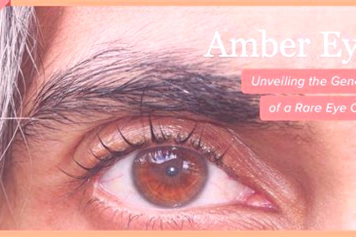 Lucy, 29, a red amber-eyed ebony companion based in Hingham. Offering A-Level, CIM, Dinner Date. Available for incall and outcall, day and evening dates.