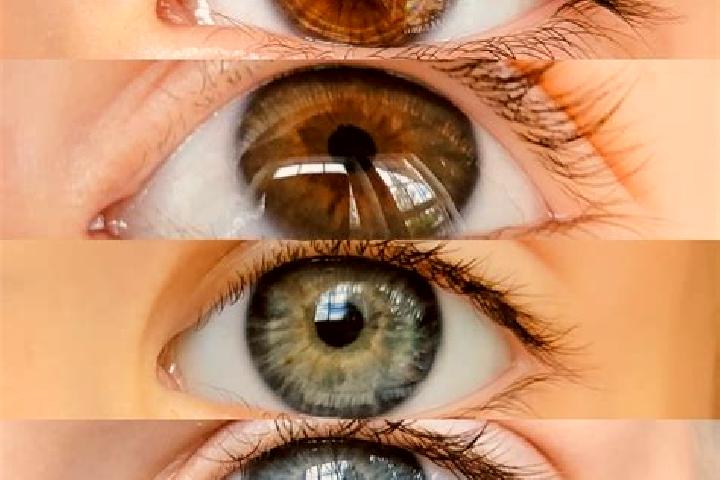 Lucy, 31, a chestnut amber-eyed middle eastern companion based in Cheix-en-Retz. Offering Overnight, Fetish, Couples. Available for incall and outcall, day a...