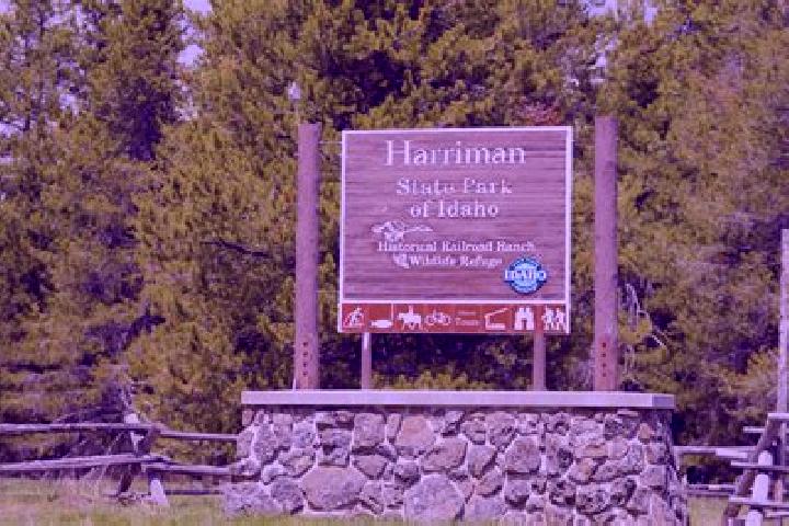 Lucy, 31 — Escort in Harriman, United States