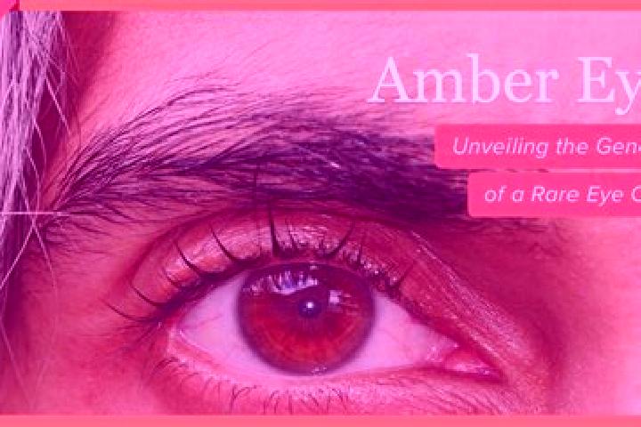Lucy, 33, a red amber-eyed mediterranean companion based in Tencanau. Offering Overnight, CIM, Girlfriend Experience. Available for incall and outcall, overn...