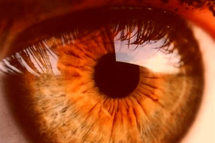 Lucy, 36, a red hazel-eyed european companion based in Chaba. Offering Prostate Massage, Dinner Date, Girlfriend Experience, Overnight. Available for incall ...