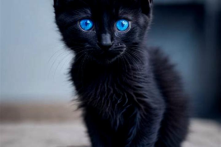 Lucy, 37, a black blue-eyed caribbean companion based in Bojonglarang. Offering Tantra, Domination, OWO, Party Girl. Available for incall and outcall, overni...