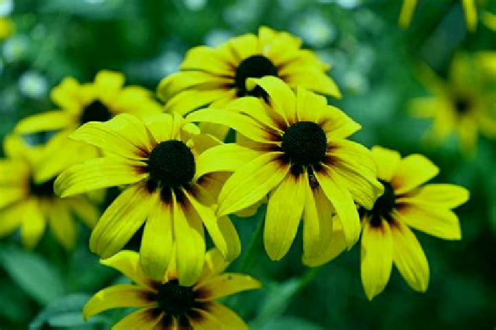 Lucy, 37, a black dark-eyed caribbean companion based in Wiesenburg. Offering CIM, Prostate Massage, Travel Companion. Available for incall and outcall, day ...